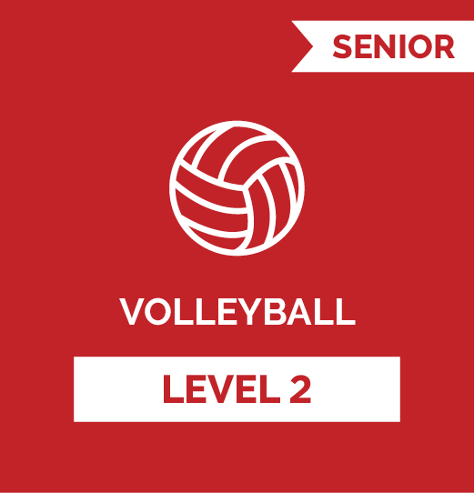 Volleyball SR - Level 2
