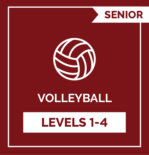 Volleyball SR Levels 1 - 4