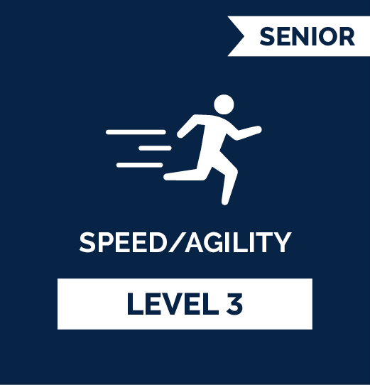 Speed & Agility SR - Level 3