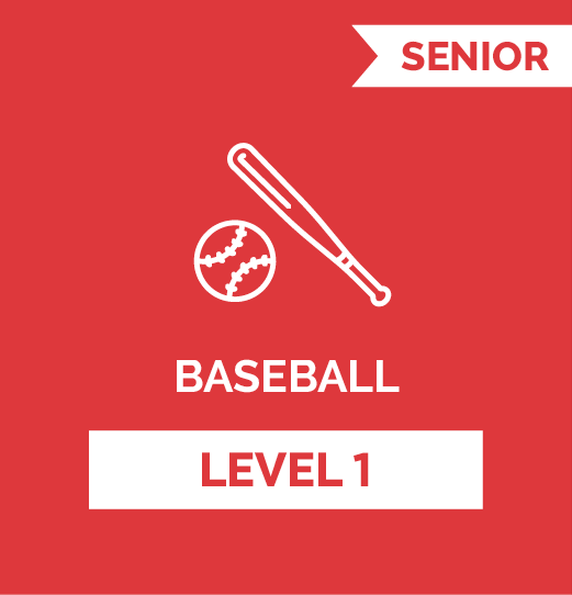 Baseball SR - Level 1