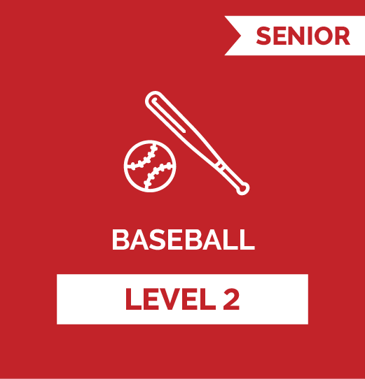 Baseball SR - Level 2