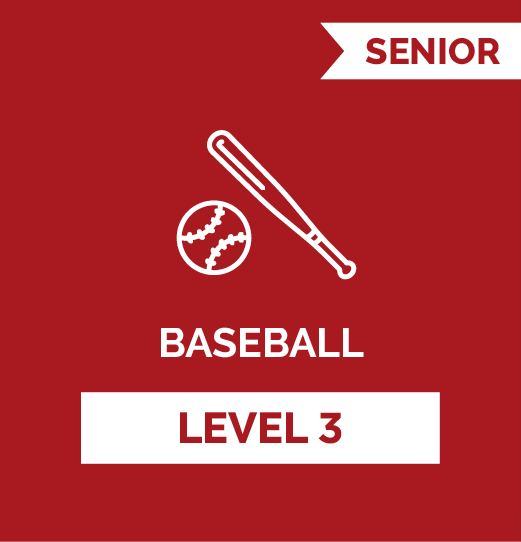 Baseball SR - Level 3