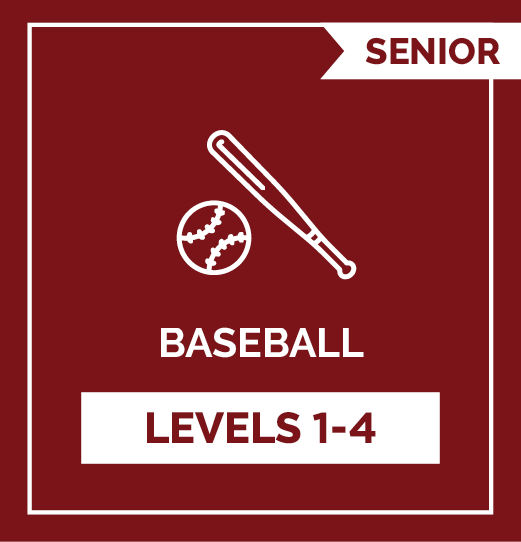 Baseball SRs - Level 1-4