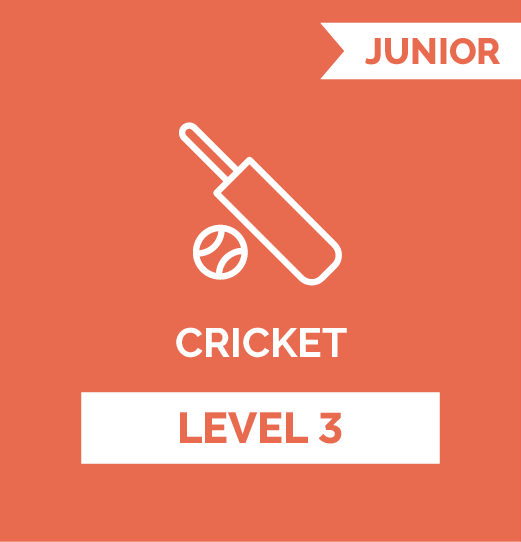 Cricket JR - Level 3 
