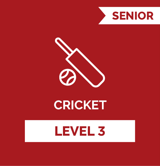 Cricket SR - Level 3