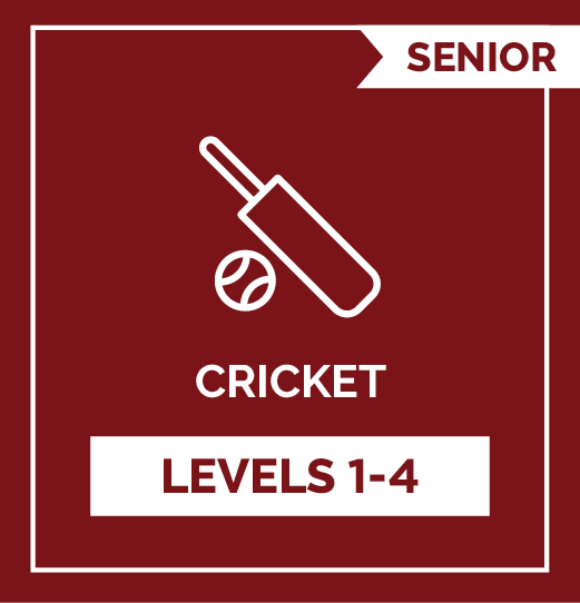 Cricket SRs - Level 1 - 4