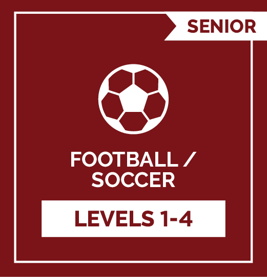 Football (Soccer) SRS - Level 1-4