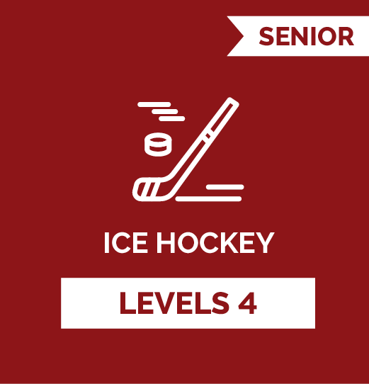 Ice Hockey SR - Level 4