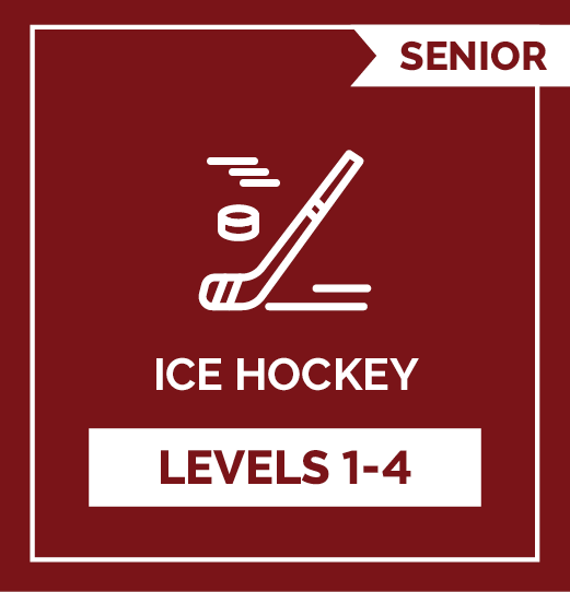 Ice Hockey SRs - Levels 1 - 4